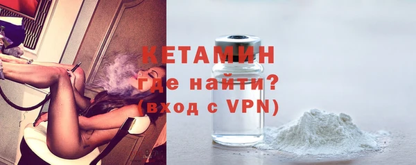 шишки Гусев