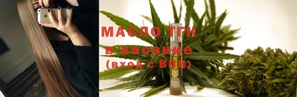 шишки Гусев
