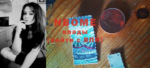 шишки Гусев