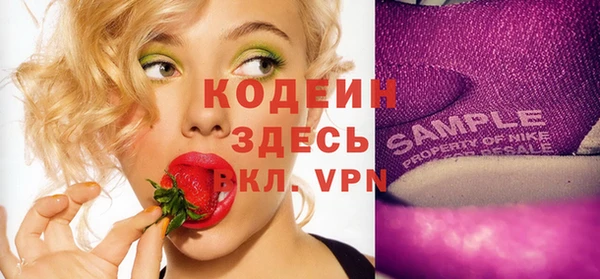 шишки Гусев