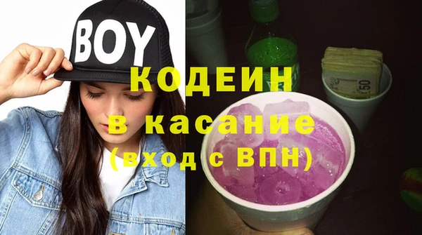 шишки Гусев