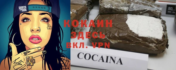 шишки Гусев